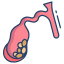 Biliary Tract & Gallbladder Cancer treatment