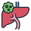 Liver Cancer treatment